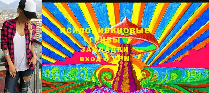 Галлюциногенные грибы Psilocybe  KRAKEN как зайти  Власиха 